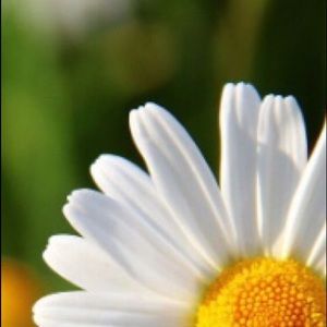 Meet your Posher, Jane